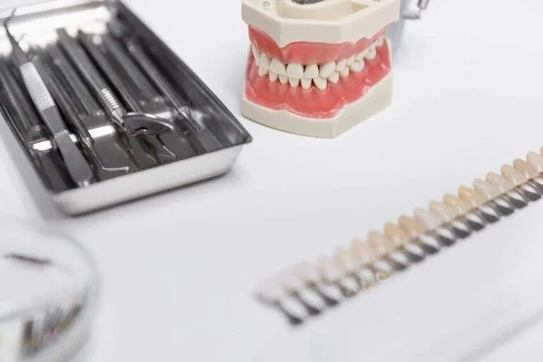 Dentadura completa junto a instrumental y una guía de colores dental